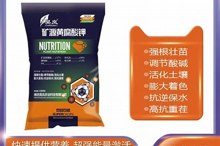 种下了25天的辣椒苗!