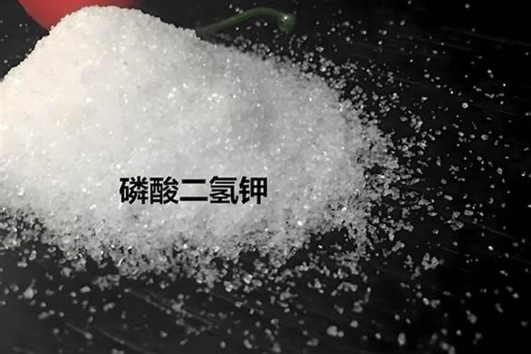 胡萝卜膨果冲施什么肥料？胡萝卜膨果叶面肥什么时候用合适