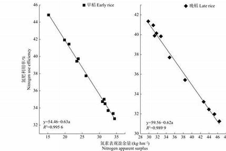 盆栽矮桩苹果村为什么黄嫩叶那？