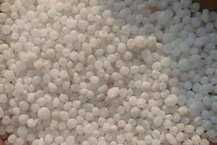 尿素怎么养三角梅花苞狂冒