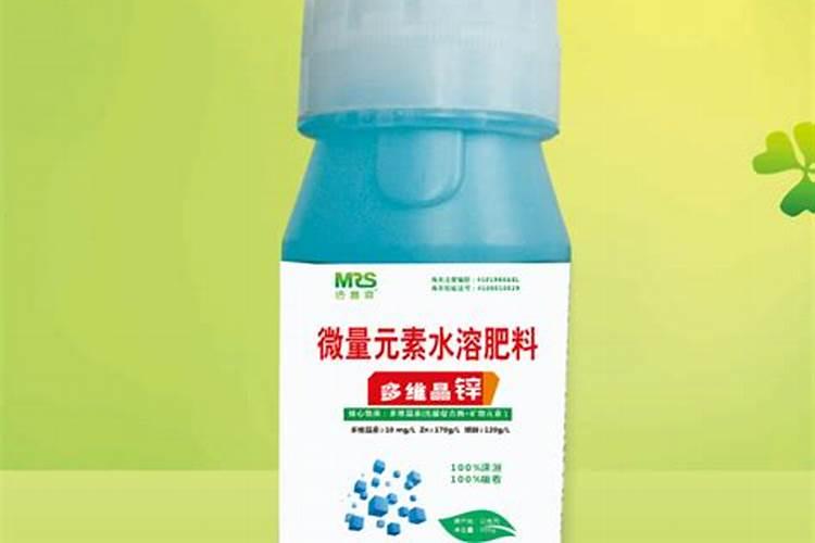 枇杷摘果后施什么肥料 施肥技巧有哪些
