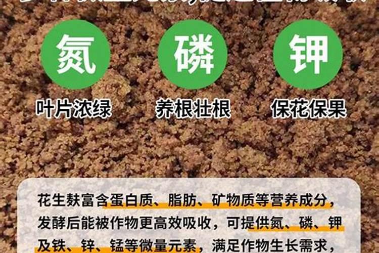 复合肥哪个牌子最划算