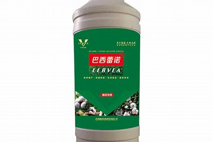 生姜冻了怎么补救