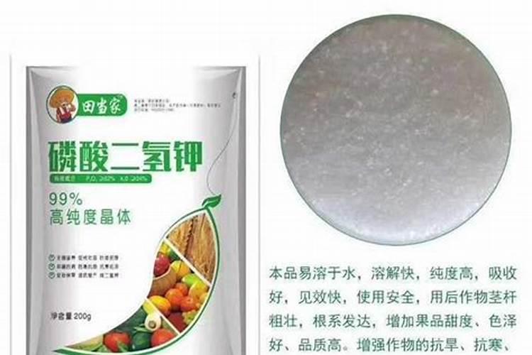 磷酸二氢钾适合什么植物