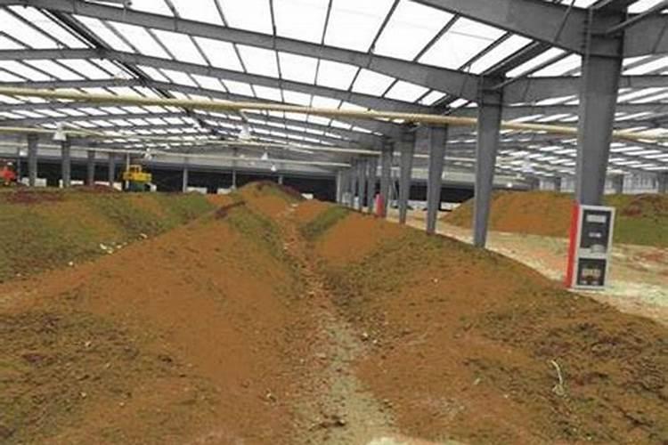 开叶面肥厂要多少钱