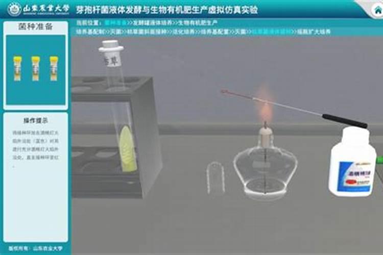 娃娃蕉的正确防冻方法