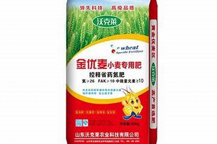 樱桃苗什么时候种植