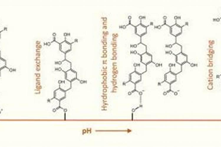 腐殖酸类肥料属于有机肥吗？怎么使用？有哪些注意事项？