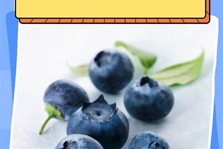 养了3年的“蓝莓”,不开花不结果,主要你照顾太好,变懒惰