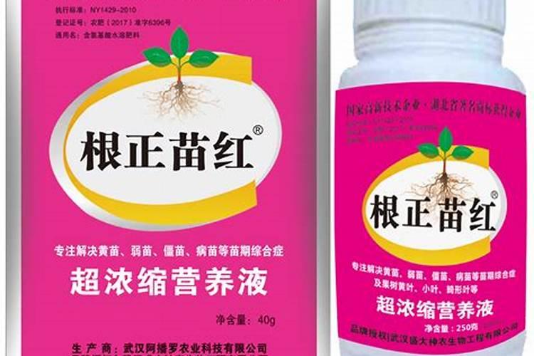 水溶肥使用禁忌