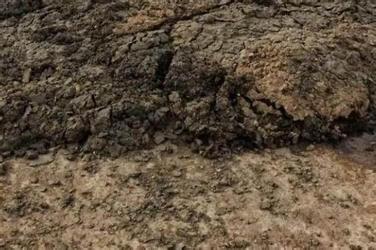 籽用西葫芦瓜全座不住怎么回事？怎么预防这种情况？,、、、先期种植不用...