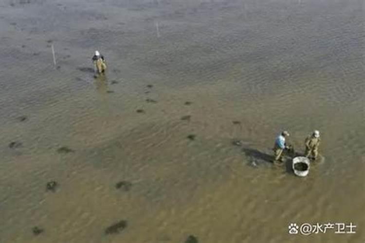 金果儿起诉许舅舅:这是对情感的蹂躏、道德的践踏和法律的挑衅百度知 ...