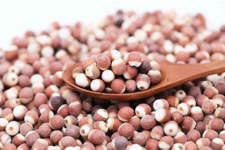 水稻苗床青苔打什么药？