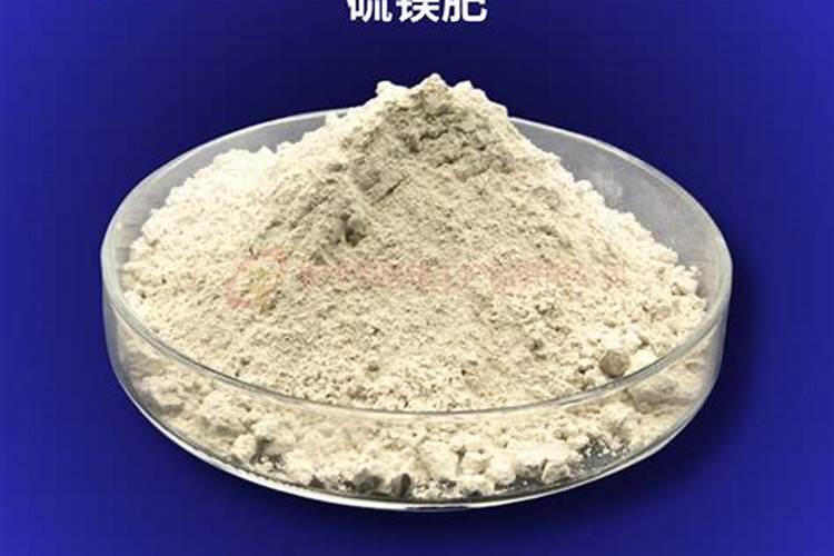 海藻面食品制作方法