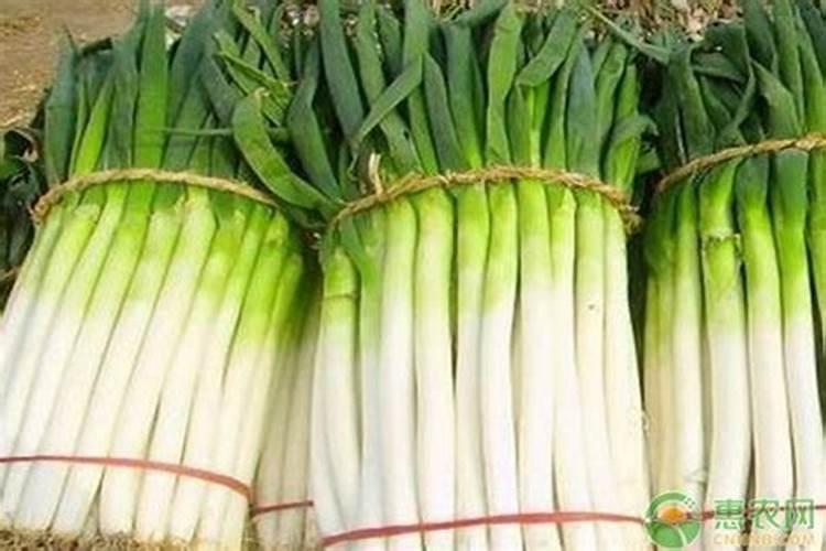 要避免大葱的重茬种植,哪些工作要做好？