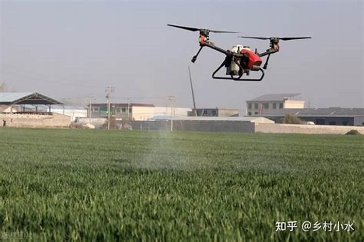 把尿素当作叶面肥喷施使用,效果真能翻倍吗？