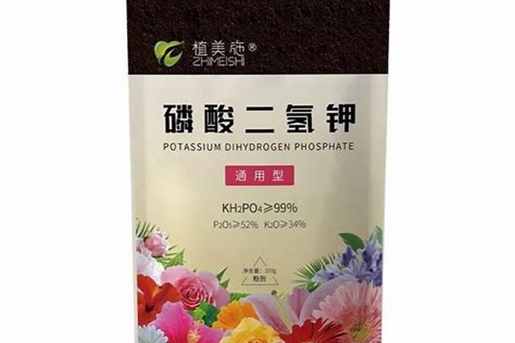 柠檬盆栽怎么过冬天