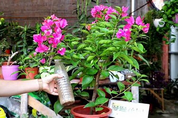 全年翻倍增长的“有机硅”龙头企业:硅宝科技、东岳硅材,谁是真龙