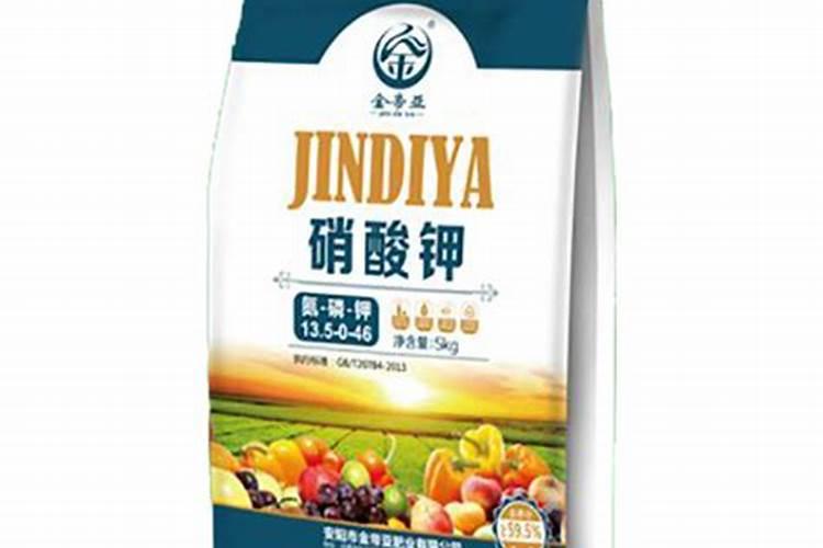 鲁冰花种多久开花