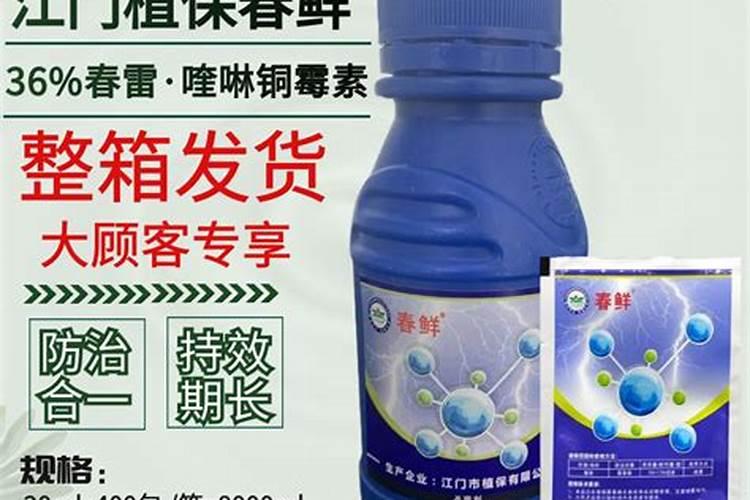 喹啉铜为什么能防螨类？