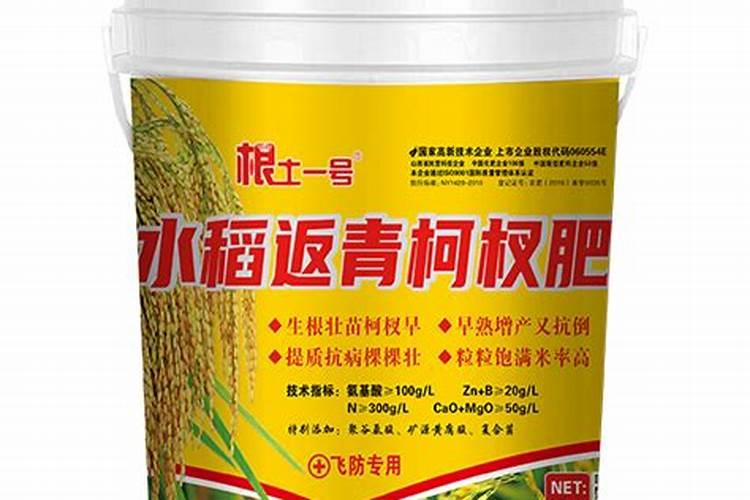 花施肥后什么时候浇水 花施肥后哪时候浇水比较好