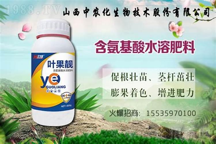 氨基酸叶面肥能直接接触果面吗？