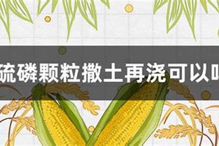 什么动植物体含磷量最高