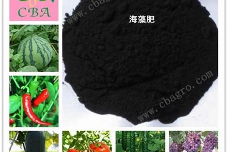 海藻酸肥料多少钱一斤