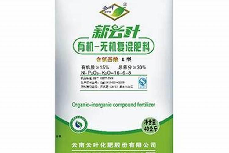 一年中什么时候给月季施肥最好(月季施肥的最佳时间)