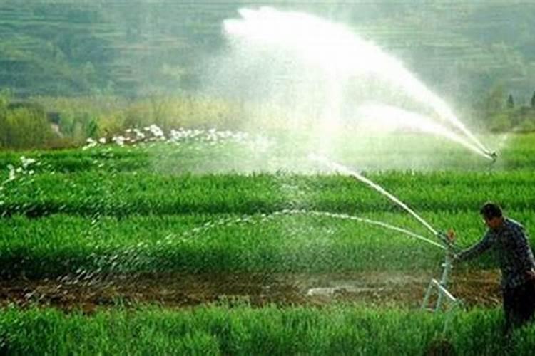 如何辨别水溶肥料的好坏