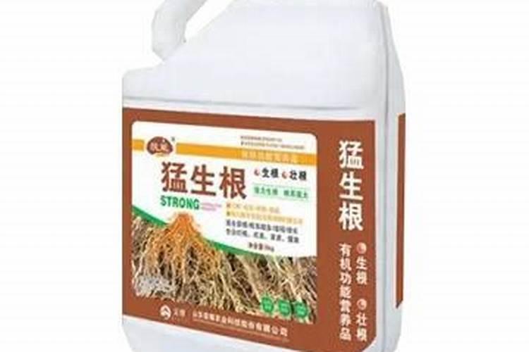 水培红掌要施什么肥好