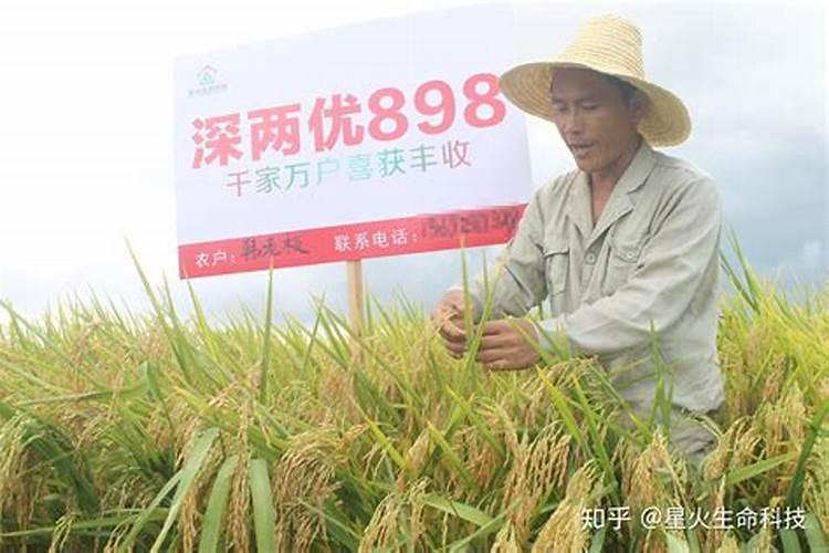 复合肥可以兑水浇花吗 怎么使用好