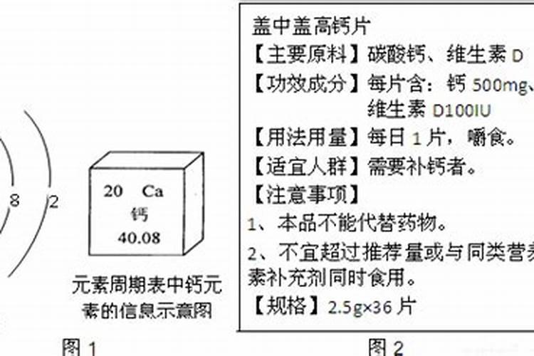 家庭种植多肉植物用什么土
