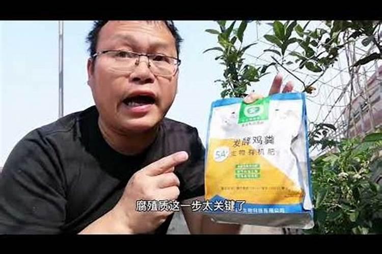 钾的性质与特点