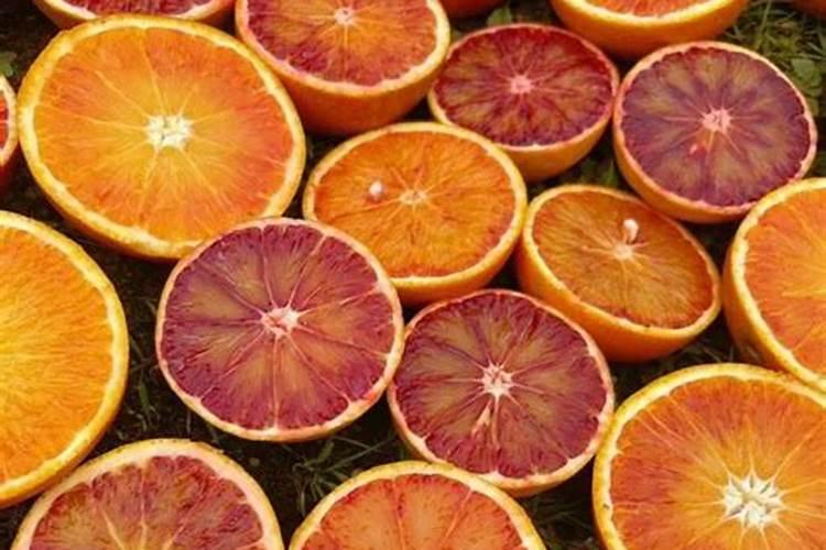 百菌清会出现什么药害？在使用过程中需要注意哪些问题？