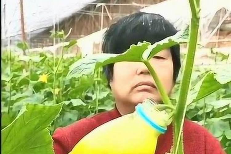焚烧秸杆有什么害处
