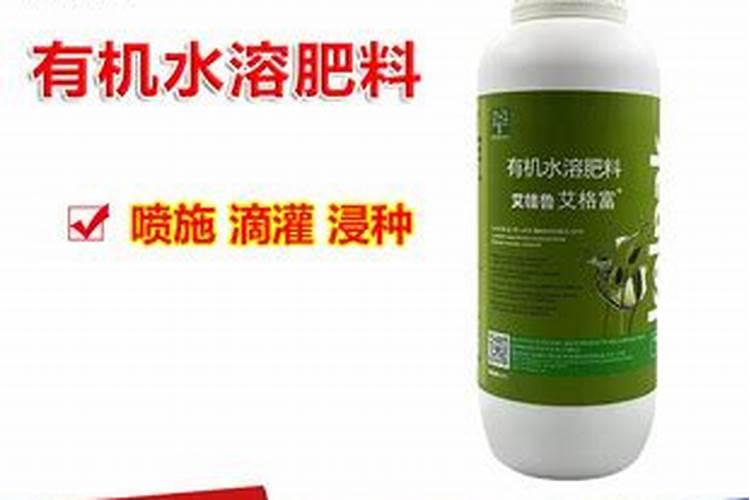枣树什么时候施肥