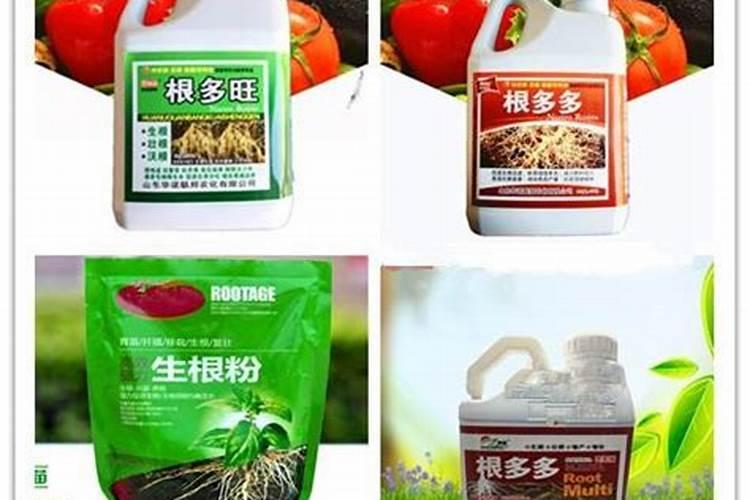 海棠花营养不足用什么肥合适