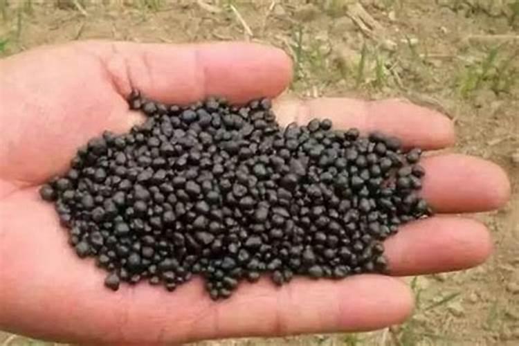 如何识别真正的生物有机肥？