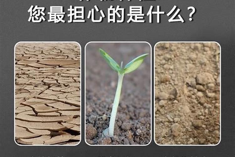 浙江恋恋纺织厂离蒲江国安工贸有限公司有多远