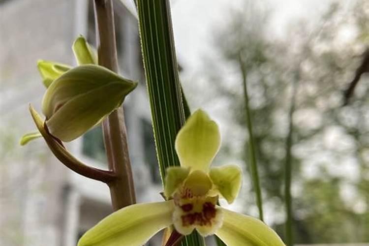 日常用品中,是否有能混合制得剧毒物质的