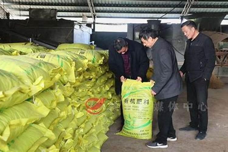 肥料巧施用 效果胜农药