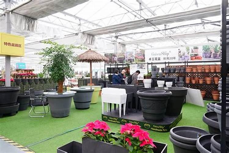 请问"为导游员写<<鸟的天堂>>的解说词"怎么写,快快!