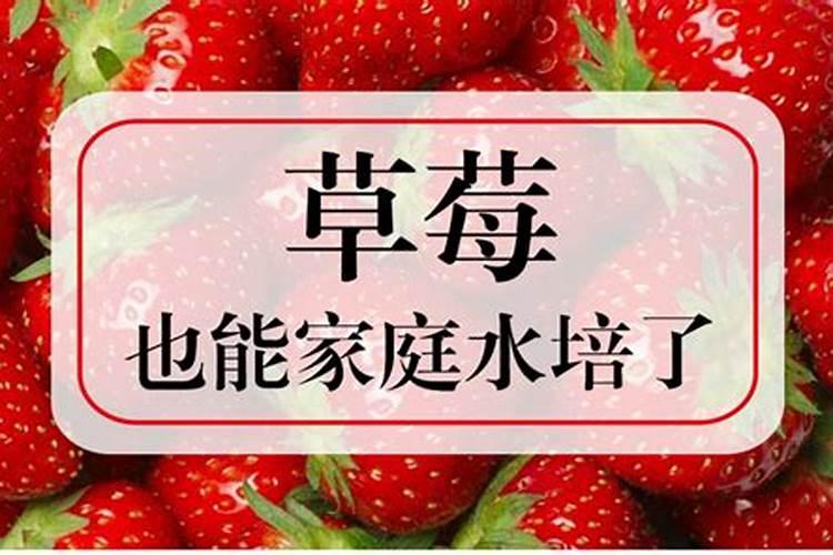 氨基酸膦钾可以和海藻鱼蛋白一起？