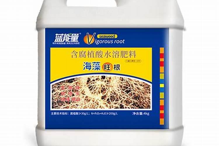 水果黄瓜的种植时间和管理方法