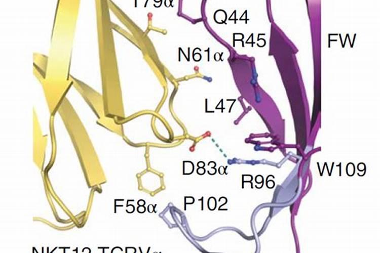 1斤黄腐酸钾兑多少水