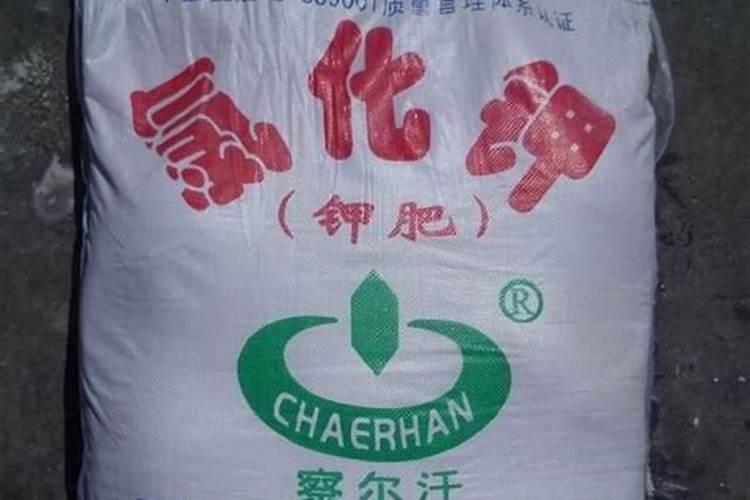 西宁周边200公里有哪些地方青海西宁市周边农村,哪些地方有集市,都是啥...