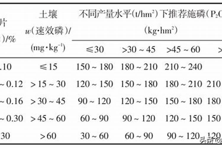 立冬后柑橘怎么管？管理手册请查收