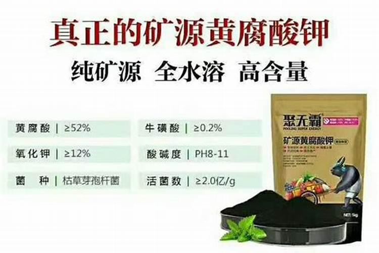 兰花怎么养 秋季要注意这七点