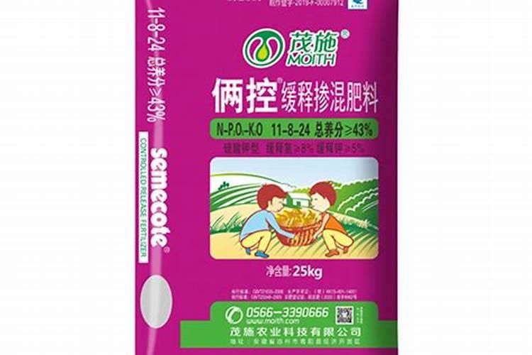 国产的果啤有哪些好喝不贵？